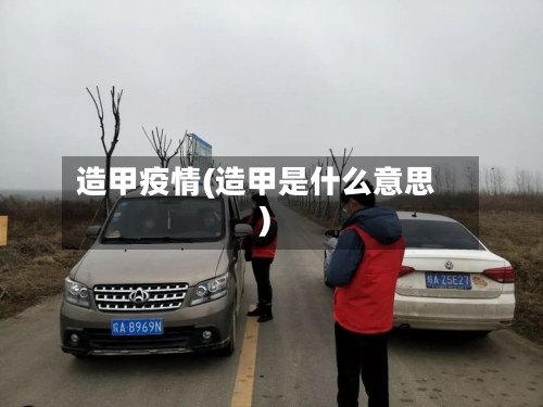 造甲疫情(造甲是什么意思)-第2张图片