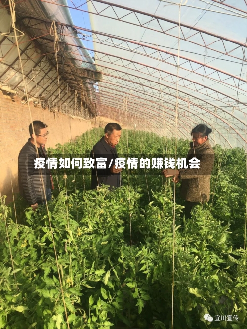 疫情如何致富/疫情的赚钱机会-第2张图片