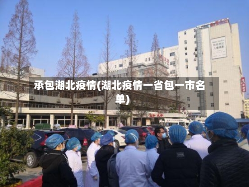 承包湖北疫情(湖北疫情一省包一市名单)-第2张图片