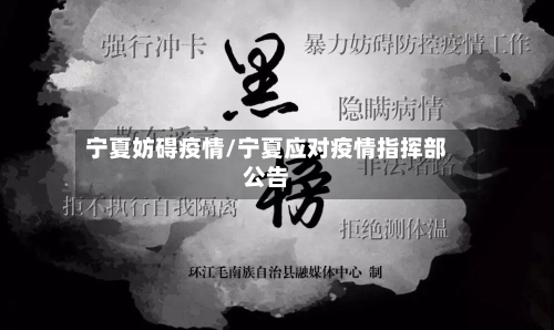宁夏妨碍疫情/宁夏应对疫情指挥部公告-第2张图片