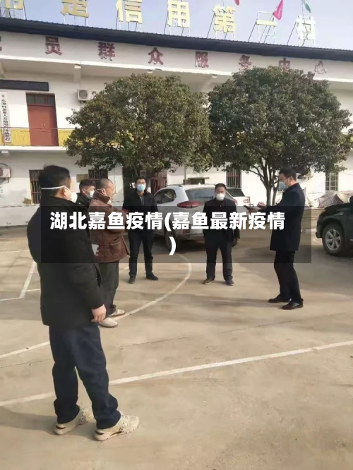湖北嘉鱼疫情(嘉鱼最新疫情)-第2张图片