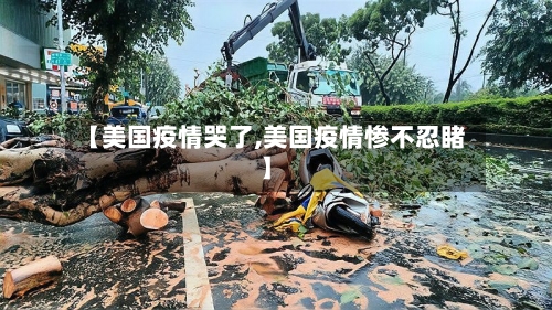 【美国疫情哭了,美国疫情惨不忍睹】-第2张图片