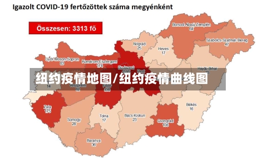 纽约疫情地图/纽约疫情曲线图-第1张图片