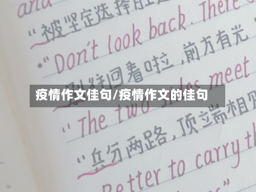 疫情作文佳句/疫情作文的佳句-第2张图片