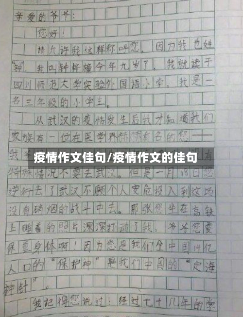 疫情作文佳句/疫情作文的佳句-第1张图片