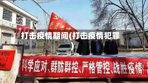 打击疫情期间(打击疫情犯罪)-第1张图片