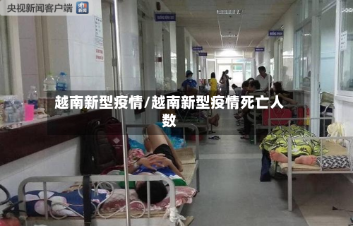 越南新型疫情/越南新型疫情死亡人数-第3张图片