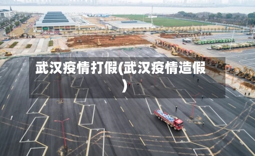 武汉疫情打假(武汉疫情造假)-第2张图片