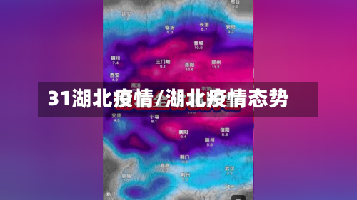 31湖北疫情/湖北疫情态势-第3张图片