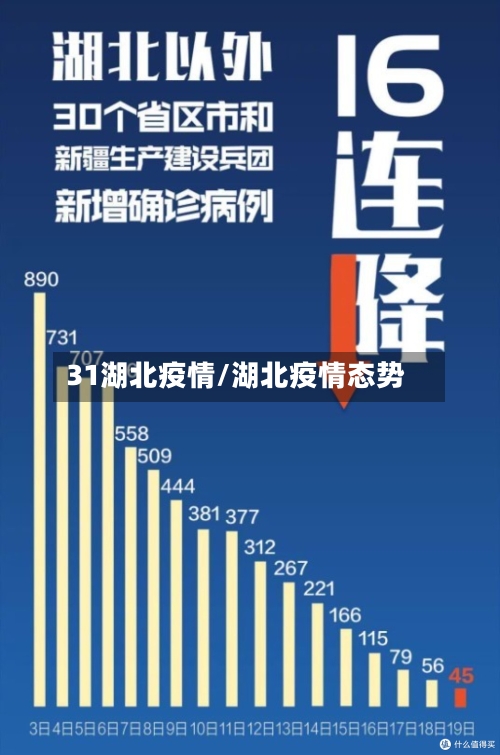 31湖北疫情/湖北疫情态势-第2张图片