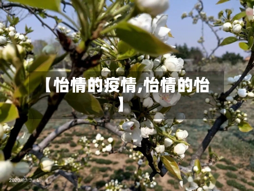 【怡情的疫情,怡情的怡】-第2张图片