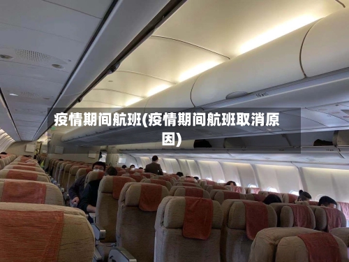 疫情期间航班(疫情期间航班取消原因)-第1张图片