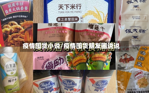 疫情囤货小说/疫情囤货朋友圈说说-第1张图片