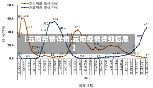 【云南疫情详情,云南疫情详细信息】-第2张图片