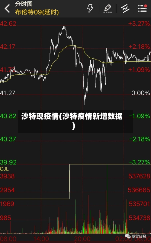 沙特现疫情(沙特疫情新增数据)-第2张图片