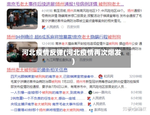 河北疫情反弹(河北疫情再次爆发)-第2张图片
