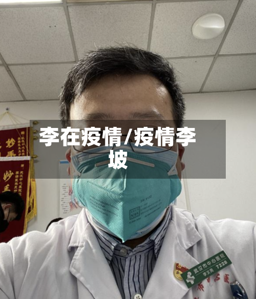 李在疫情/疫情李坡-第3张图片