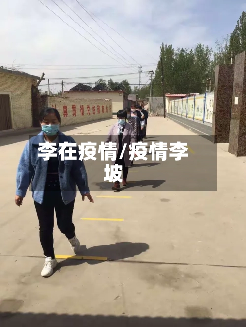 李在疫情/疫情李坡-第2张图片