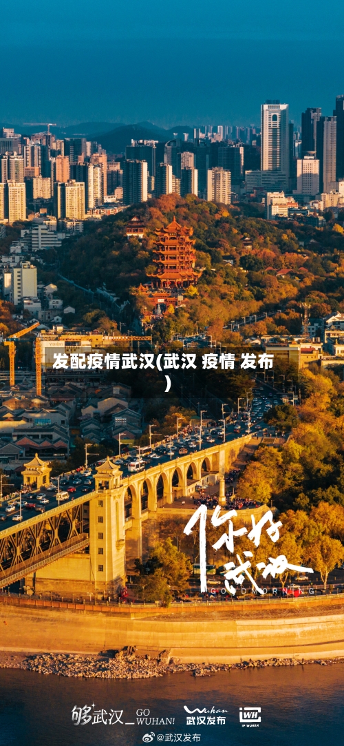 发配疫情武汉(武汉 疫情 发布)-第3张图片