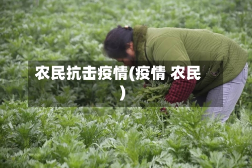 农民抗击疫情(疫情 农民)-第1张图片