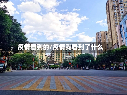 疫情看到的/疫情我看到了什么-第1张图片