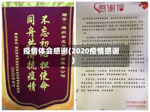 疫情体会感谢(2020疫情感谢)-第3张图片