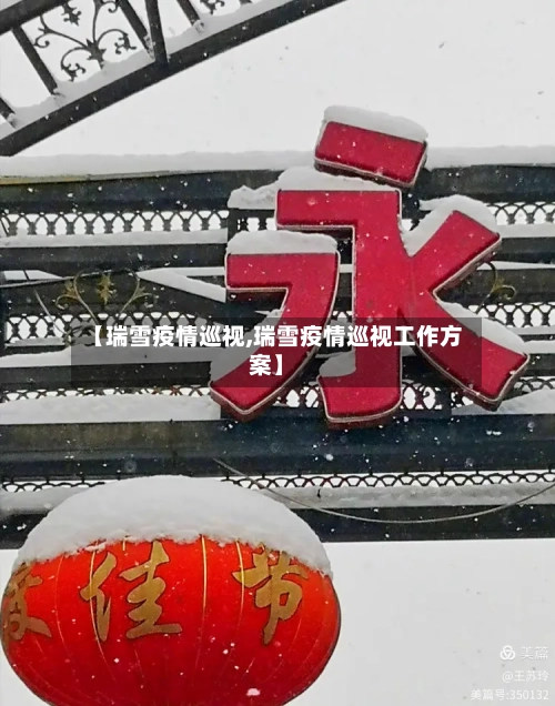 【瑞雪疫情巡视,瑞雪疫情巡视工作方案】-第3张图片