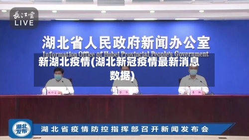新湖北疫情(湖北新冠疫情最新消息数据)-第2张图片