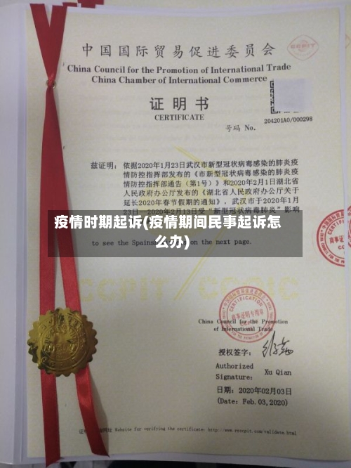 疫情时期起诉(疫情期间民事起诉怎么办)-第2张图片