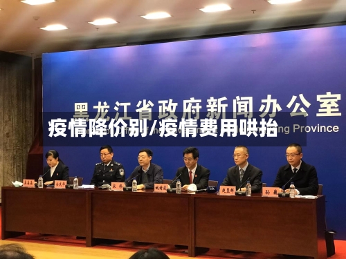 疫情降价别/疫情费用哄抬-第2张图片