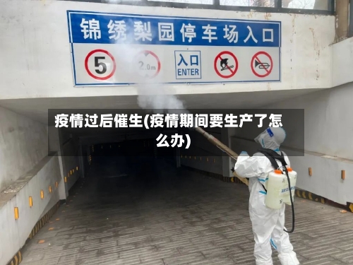 疫情过后催生(疫情期间要生产了怎么办)-第1张图片