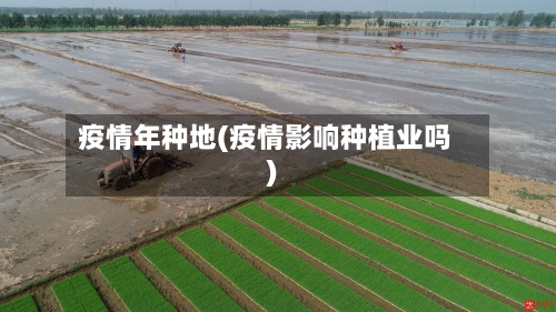 疫情年种地(疫情影响种植业吗)-第1张图片