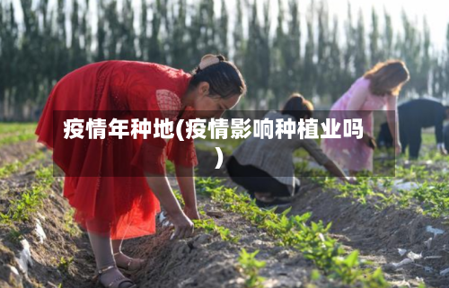 疫情年种地(疫情影响种植业吗)-第2张图片