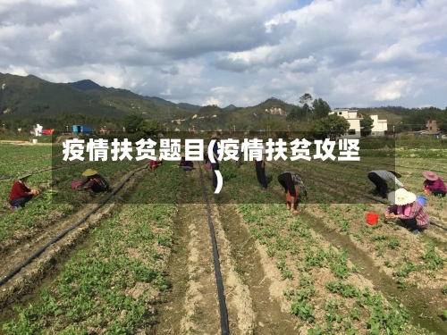 疫情扶贫题目(疫情扶贫攻坚)-第1张图片