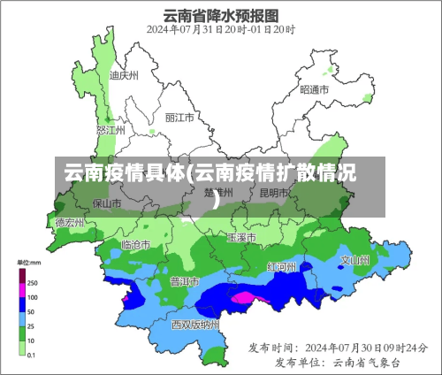 云南疫情具体(云南疫情扩散情况)-第1张图片