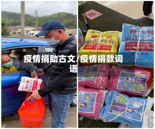 疫情捐助古文/疫情捐款词语-第1张图片