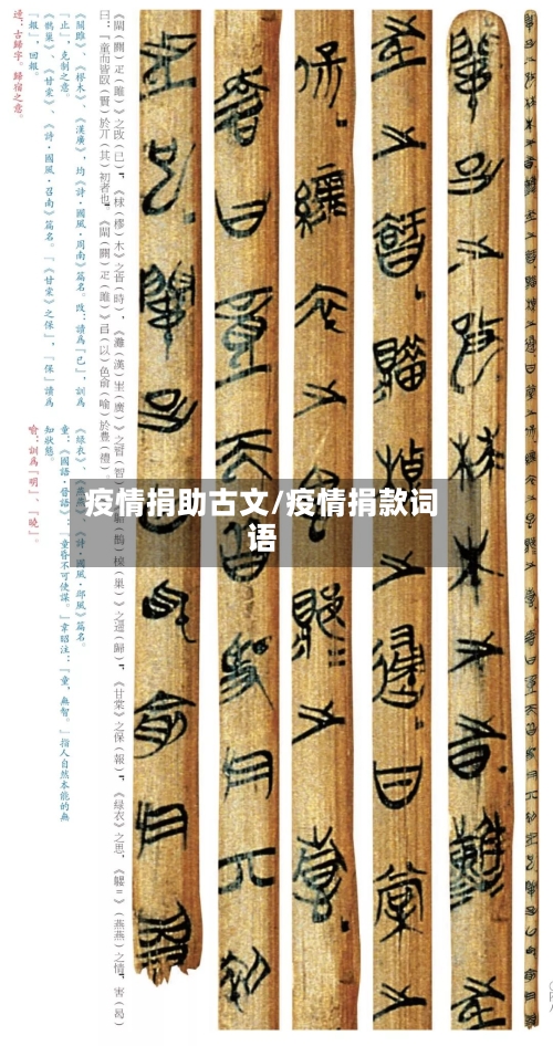 疫情捐助古文/疫情捐款词语-第2张图片
