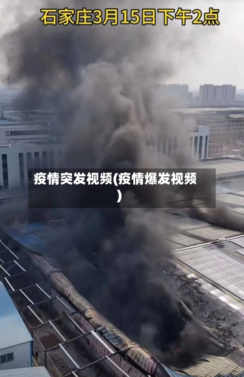 疫情突发视频(疫情爆发视频)-第2张图片