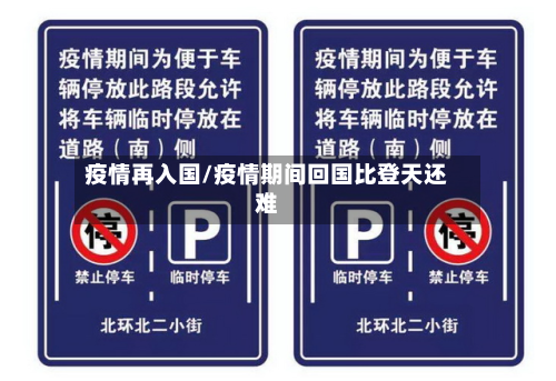 疫情再入国/疫情期间回国比登天还难-第3张图片