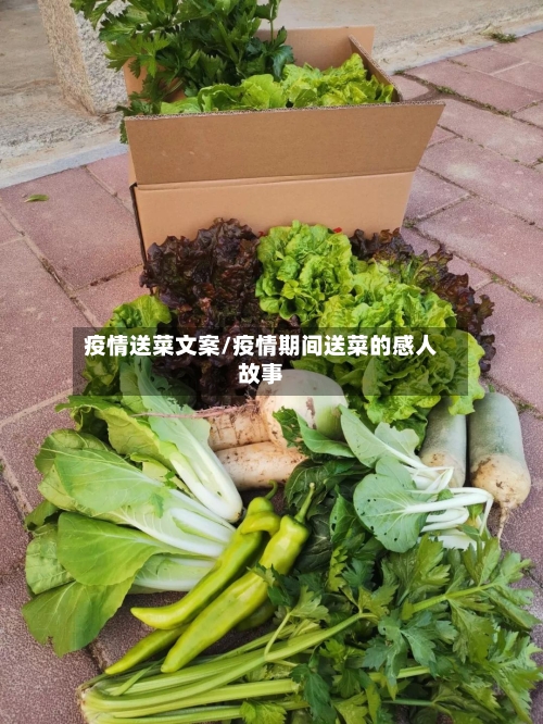 疫情送菜文案/疫情期间送菜的感人故事-第2张图片