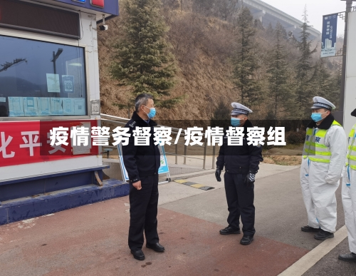 疫情警务督察/疫情督察组-第3张图片