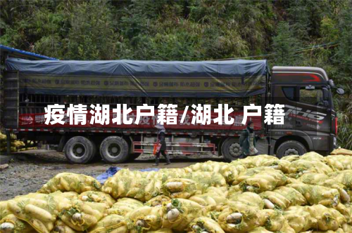 疫情湖北户籍/湖北 户籍-第1张图片