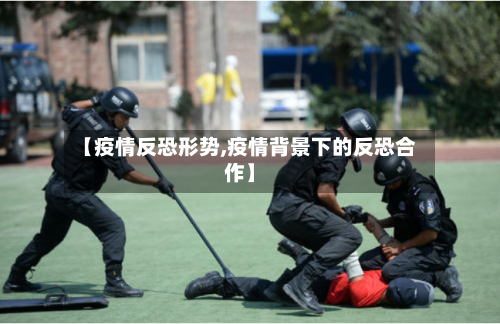 【疫情反恐形势,疫情背景下的反恐合作】-第3张图片