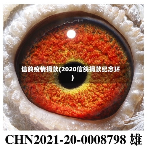信鸽疫情捐款(2020信鸽捐款纪念环)-第3张图片