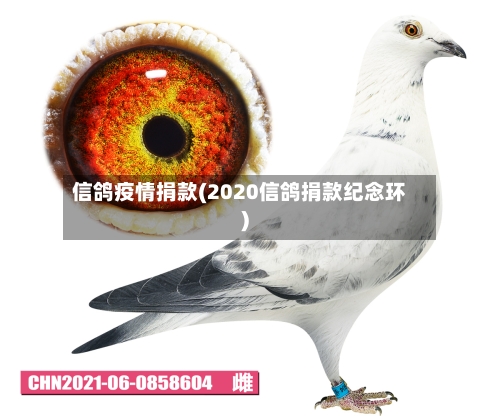 信鸽疫情捐款(2020信鸽捐款纪念环)-第2张图片