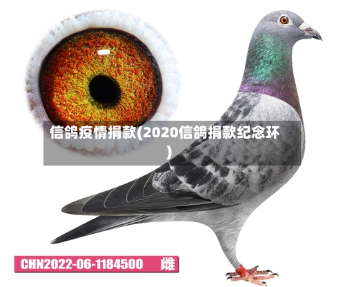 信鸽疫情捐款(2020信鸽捐款纪念环)-第1张图片