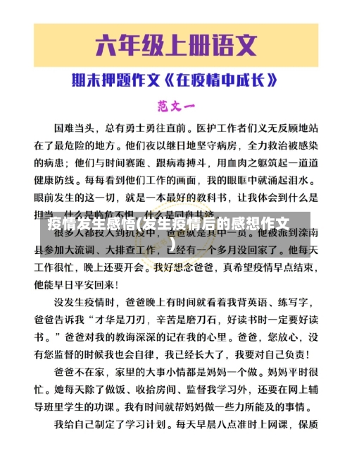 疫情发生感悟(发生疫情后的感想作文)-第3张图片