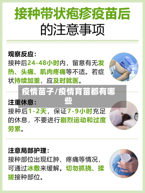 疫情苗子/疫情育苗都有哪些-第3张图片