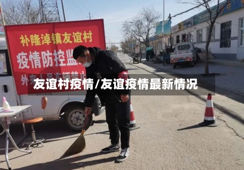 友谊村疫情/友谊疫情最新情况-第2张图片