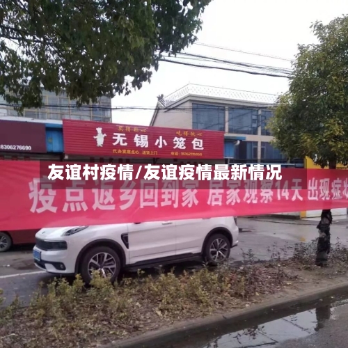 友谊村疫情/友谊疫情最新情况-第1张图片